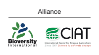 The Alliance Bioversity International - CIAT